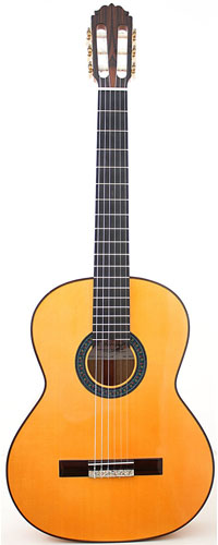 flamenco-12.jpg